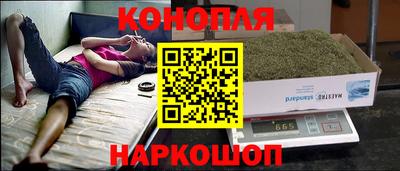 стафф Берёзовский