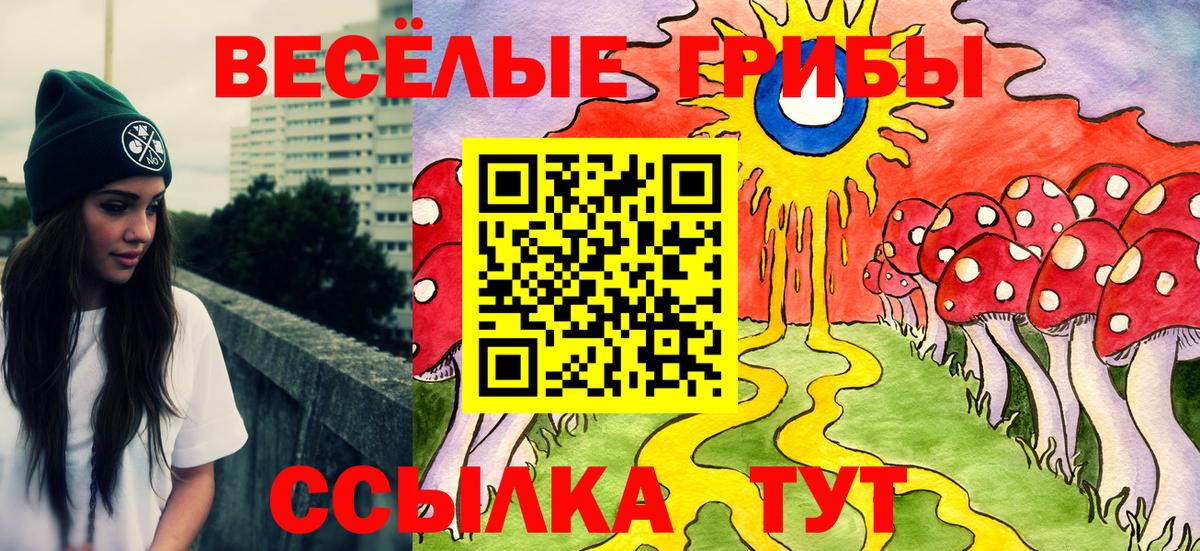 Псилоцибиновые грибы MAGIC MUSHROOMS  Псилоцибиновые грибы мицелий  Вход с VPN  Кашира 